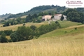 Image du bien UBI465083243